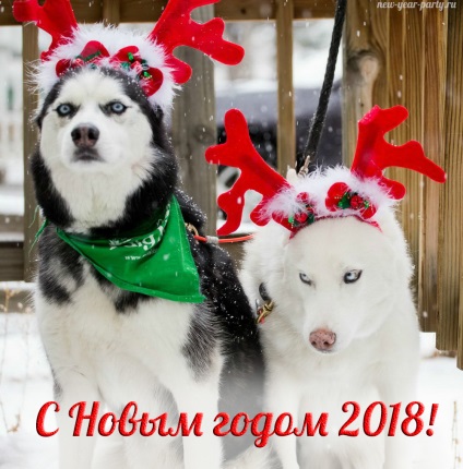Cartele de Anul Nou pentru anul câinelui (2018) cu felicitări, descărcare gratuită