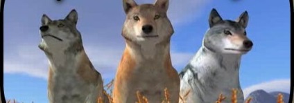 Wolfquest wolfquest simulator