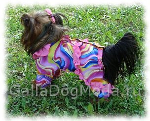 Îmbrăcăminte pentru câini - anter, o rochie pentru ac de păr