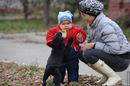 Într-o zi în viața unui câine de serviciu