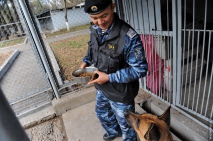 Într-o zi în viața unui câine de serviciu