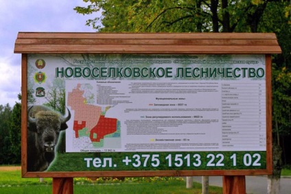 Site-ul oficial al parcului național - Belovezhskaya Pushcha - partea de nord a Belovezhskaya Pushcha este deschisă