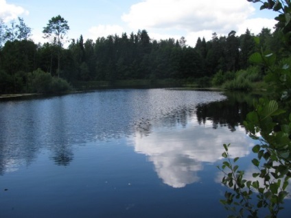 Site-ul oficial al parcului național - Belovezhskaya Pushcha - partea de nord a Belovezhskaya Pushcha este deschisă