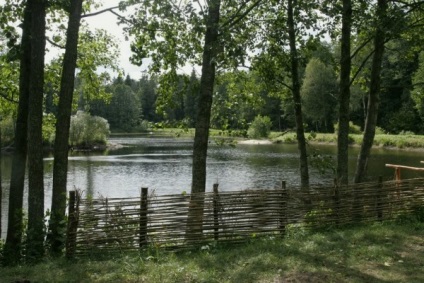 Site-ul oficial al parcului național - Belovezhskaya Pushcha - partea de nord a Belovezhskaya Pushcha este deschisă