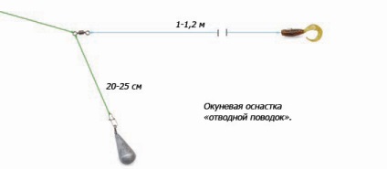 Perch pe echipament de snorkeling instalație lemne de plumb de sucursală - whirlpool liniștită