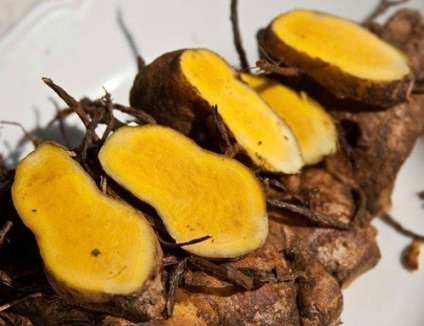 Tajvan szaunája (thai szauna vagy szauna Tajvanon) Tajvan szaunájának jellemzői