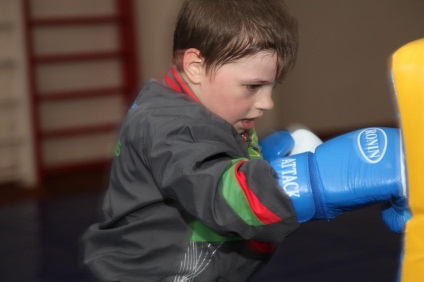Caracteristicile ocupării copiilor în secțiunea de kickboxing - educație fizică, altele