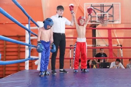 Caracteristicile ocupării copiilor în secțiunea de kickboxing - educație fizică, altele