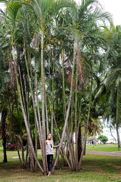 Insula Hainan Budismul centru nanshan - zhanna kurzeneva