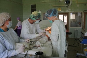 Departamentul de Chirurgie Vasculară