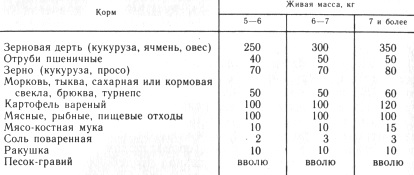 Îngrășarea curcanilor și a curcanilor adulți