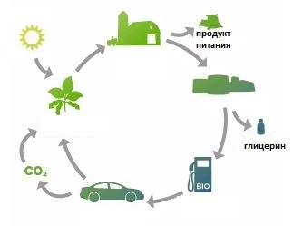 Nyílt biodízelgyártás üzleti tervének példája