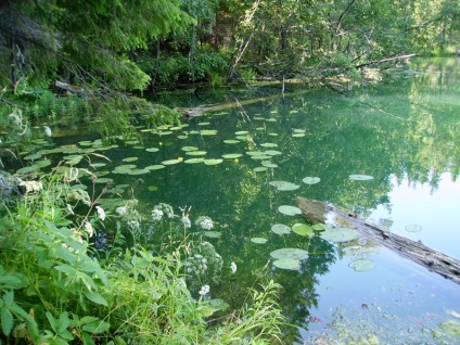 Lacul fără fund (regiunea Sverdlovsk, Rusia) - fotografii de pe planetă pământ