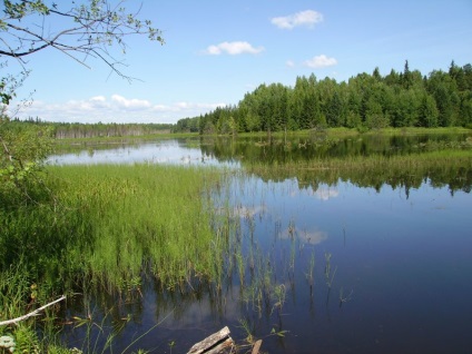 Tó feneketlen (Sverdlovsk régió, Oroszország) - fotók a Föld bolygóról