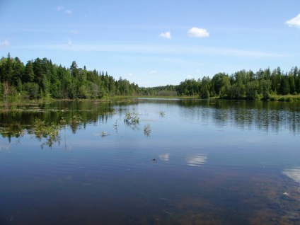 Lacul fără fund (regiunea Sverdlovsk, Rusia) - fotografii de pe planetă pământ