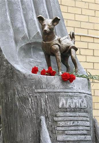 Monumente pentru câini - eroi, articole