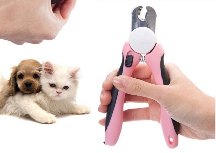 Фризьор за животни, защо котките се нуждаят ноктите изрязани