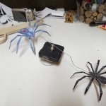 Spider din hârtie