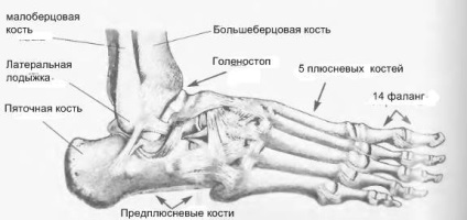 Fractura gleznei cu deplasarea speciei, reabilitare și consecințe