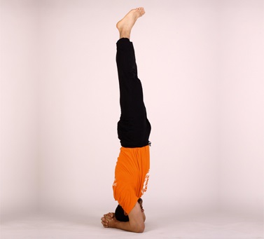 Asana inversata, asanas inversata in yoga