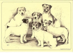 Canisa americană Akita și Jack Russell Terriers