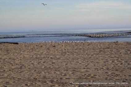 Plaja Malibu din California - notele rusești despre viața americană