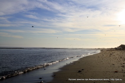 Plaja Malibu din California - notele rusești despre viața americană