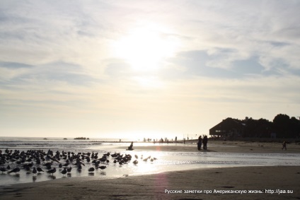 Plaja Malibu din California - notele rusești despre viața americană