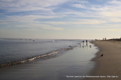 Plaja Malibu din California - notele rusești despre viața americană