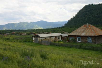 În Altai cu mașina