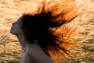 De ce părul devine gri și cădea - trunchiul pe cap! Enciclopedia de întrebări și răspunsuri