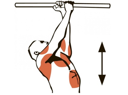 Підтягування на турніку, які м'язи працюють при зворотному і широкому хваті