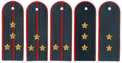 Pogonul pe uniformă militară este un atribut obligatoriu, muzeul unui costum militar