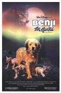 Pursuit for Benji (1987) néz online ingyen