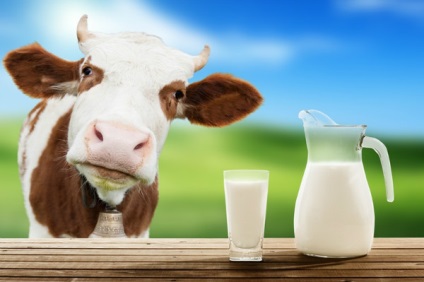 Beneficiile produselor lactate și nocivitatea organismului noaptea și dimineața