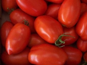 Tomatele, cele mai bune soiuri pentru suburbiile din seră
