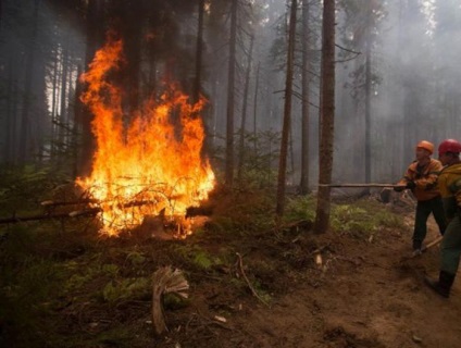Incendiu în cauzele Siberiei și acțiune guvernamentală