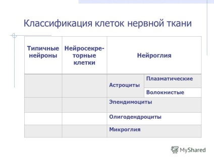 Prezentarea pe tema țesuturilor nervoase și a caracteristicilor morfofiziologice ale celulelor țesutului neural