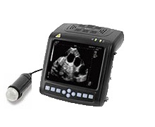 Aplicarea diagnosticului ultrasonic în creșterea porcinelor