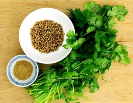 Condimente de coriandru (cilantro) utile și în creștere, ls