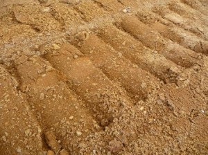 A homokos talajok problémája