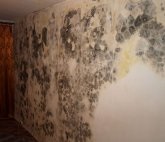 Probleme care apar atunci când tapetarea - repararea unui apartament cu mâinile tale și totul despre reparații