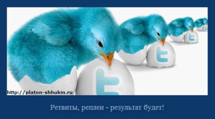 Promovarea site-ului pe Twitter