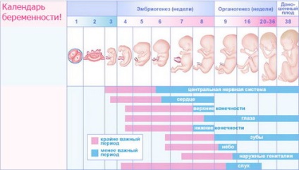 Progeszteron injekciók, hogy hívják a havi, hogy valaki pricked progeszteron okoz egy idő után