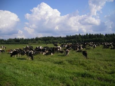 Fehéroroszország ipar és mezőgazdaság