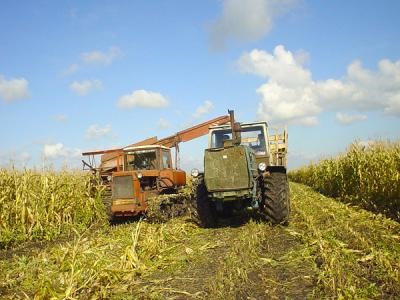 Industrie și agricultură din Belarus