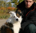Dispariția câinilor, un site despre câinii mici și nu numai
