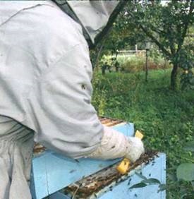 Szárítás után a keretek méz