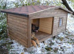 Dimensiuni cabină pentru un câine de dimensiuni medii, cum să construiască