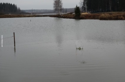 Pescuit pe lacul Chudskoe vara și iarna